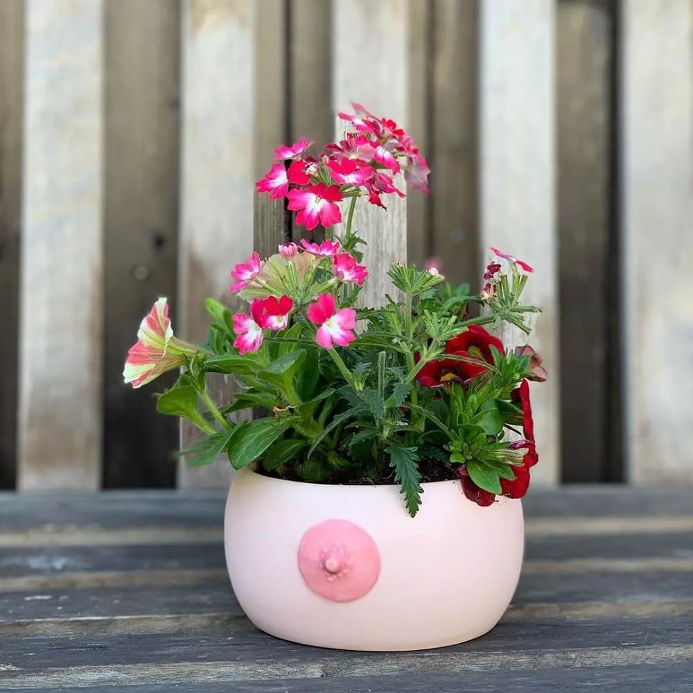Pot de fleur sein